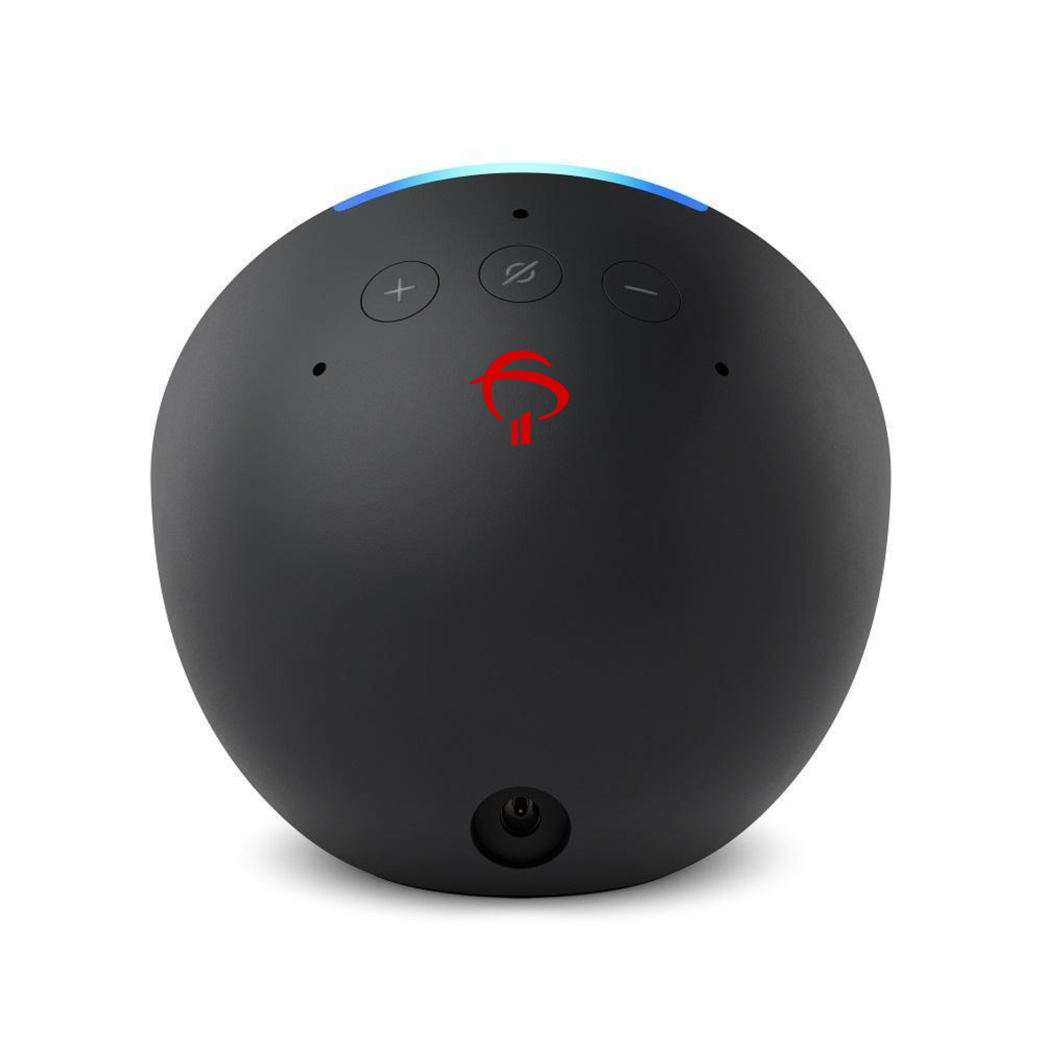 Alexa Personalizada
